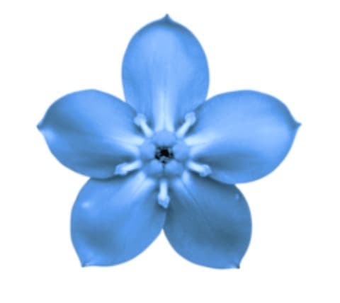 Screenshot of Neuralog