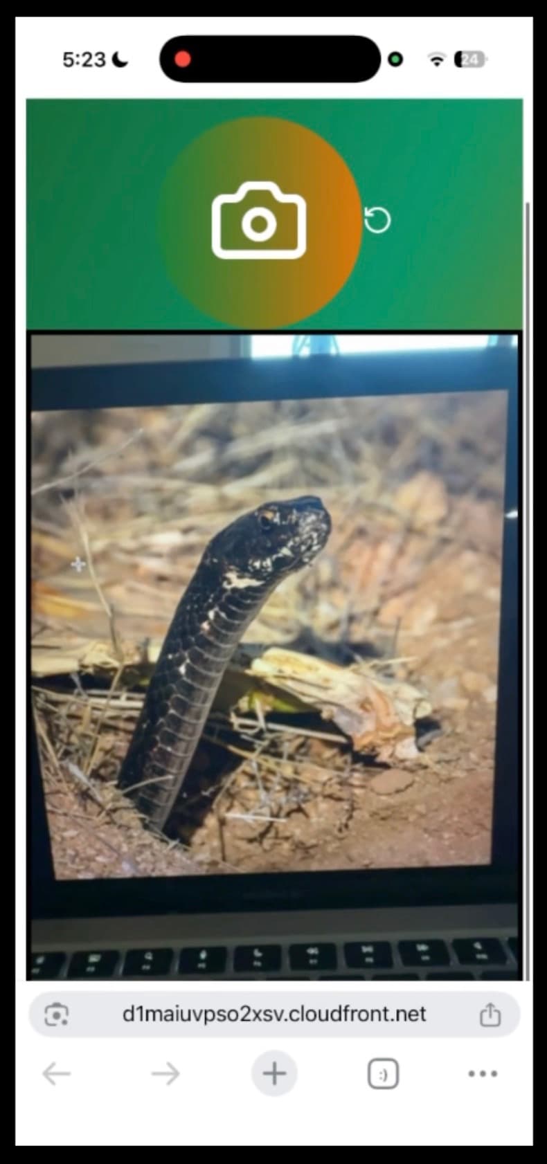 Screenshot of Snakeid