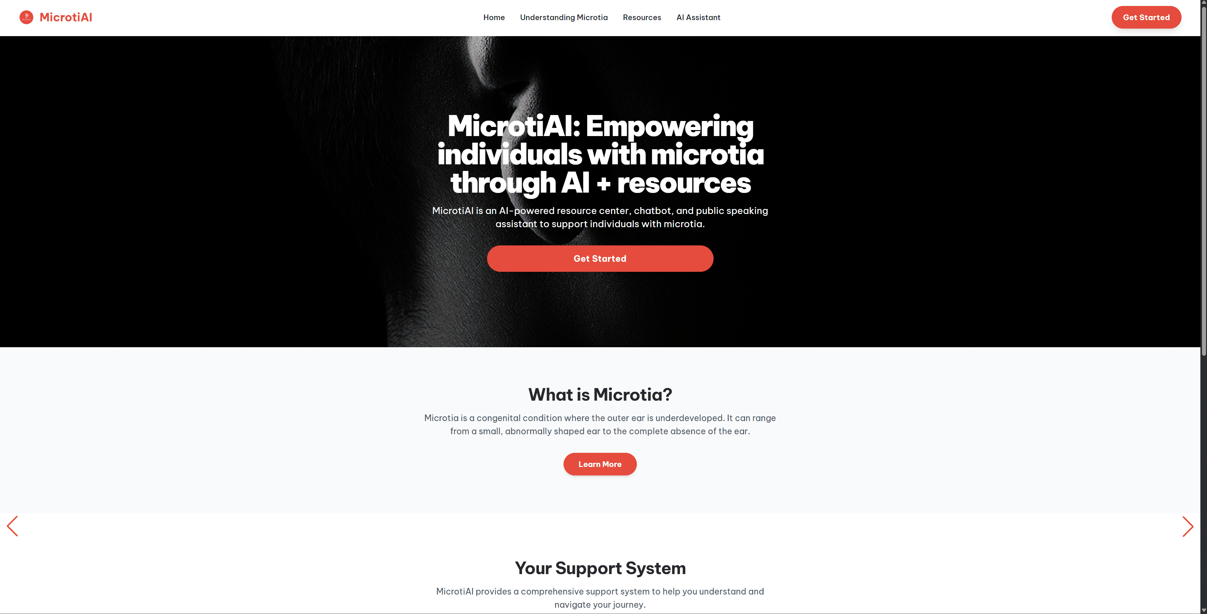 Screenshot of Microtiai